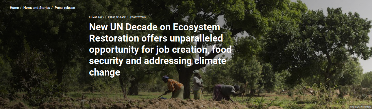 Lire la suite à propos de l’article 2021-2030 : Décennie de la restauration des écosystèmes