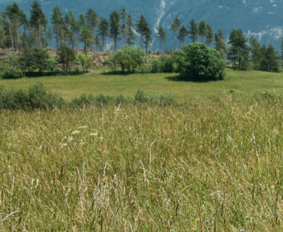 BandeauREVER2980_2021