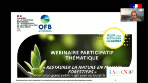 Lire la suite à propos de l’article Webinaires sur la restauration en lien avec le règlement pour la restauration de la nature